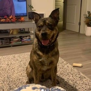 Meet your Posher, Timothy